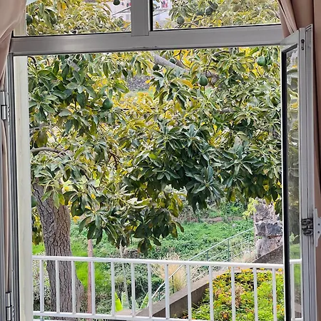 Hotel Ocean View With Garden *